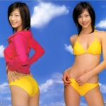 安田美沙子の壁紙x005