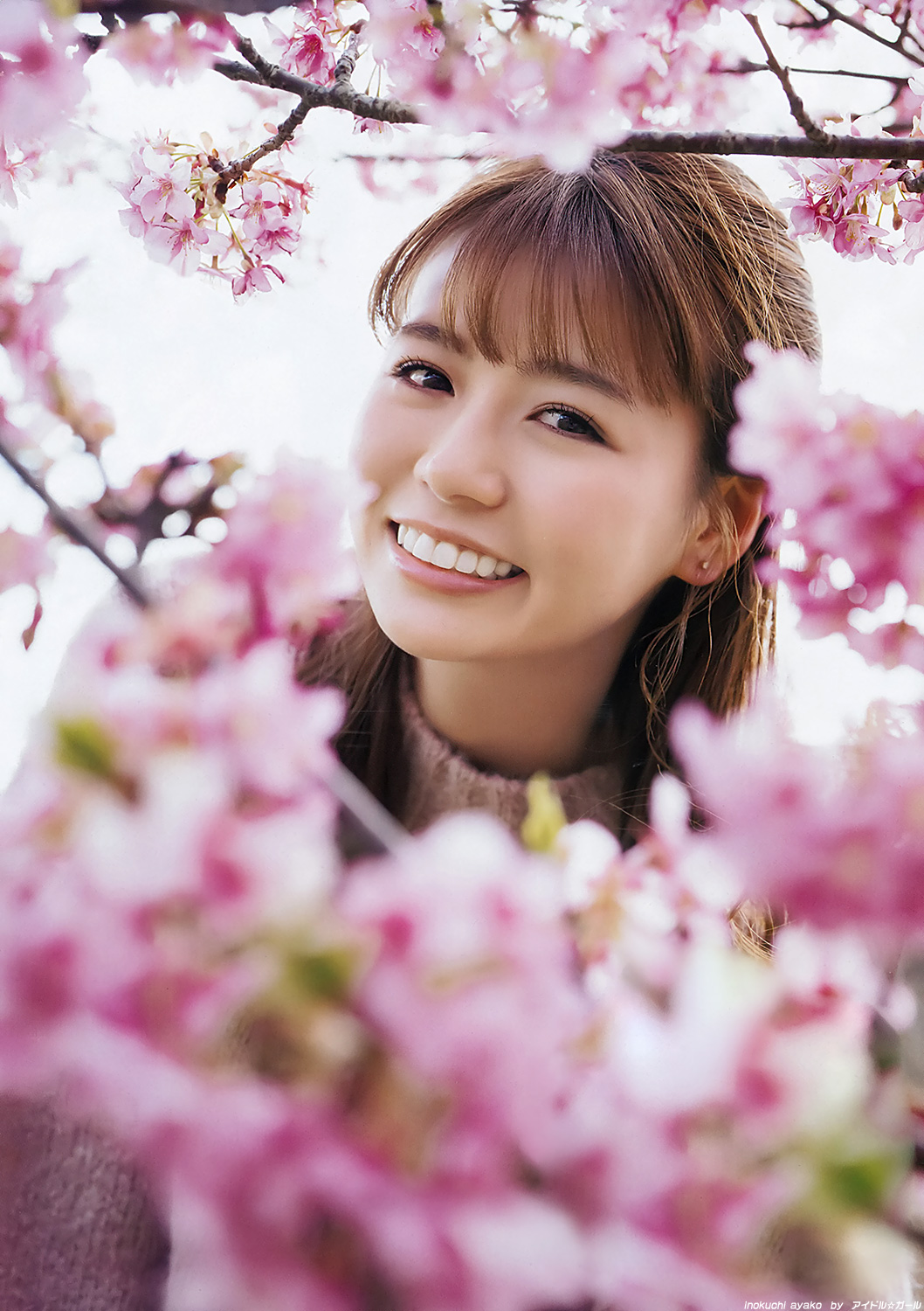 井口綾子の画像062